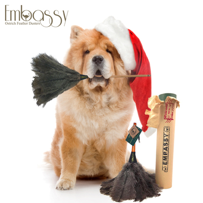 Special delivery from Santa's little helpers...