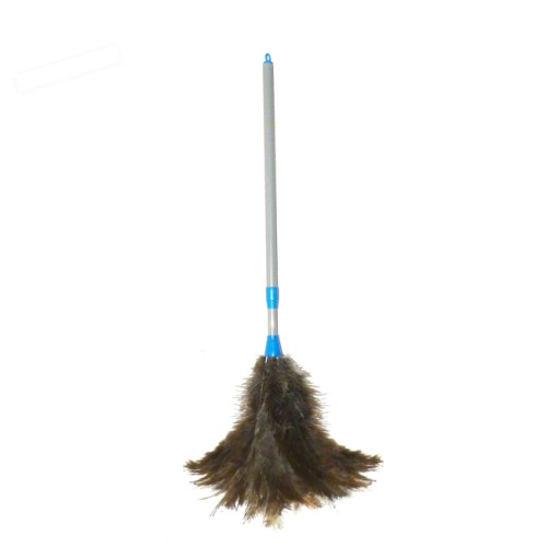 Light Weight 32 32 Inch Plastic Handled Extendable Duster